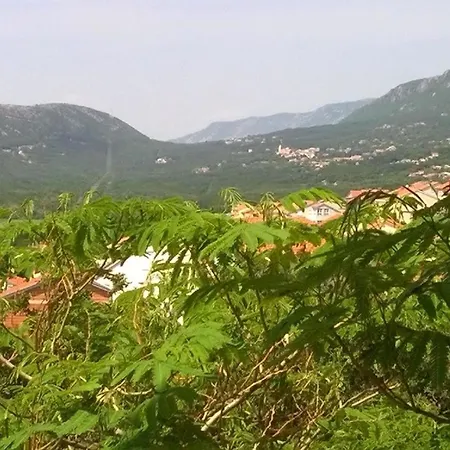 In Mit Gemeinsamem Pool, Terrasse Und Grill Und Panoramablick * נובי ווינודולסקי